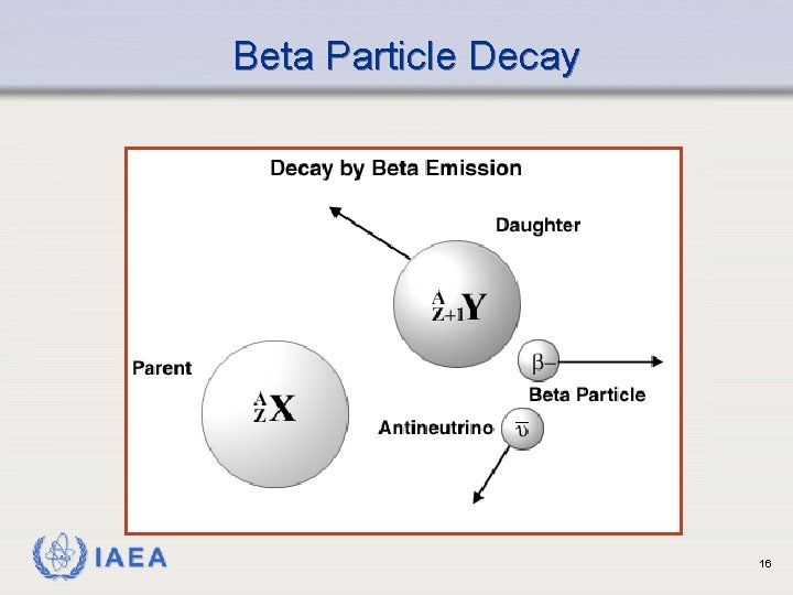 Beta Particle Decay IAEA 16 