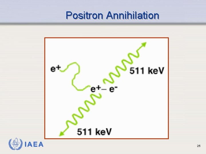 Positron Annihilation IAEA 25 