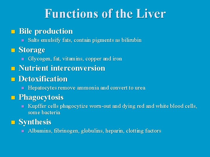 Functions of the Liver n Bile production n n Storage n n n Hepatocytes