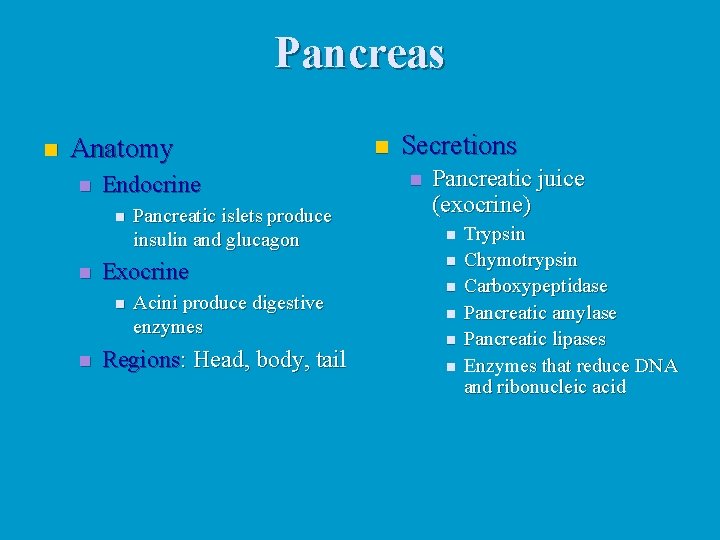 Pancreas n Anatomy n Endocrine n n Exocrine n n Pancreatic islets produce insulin