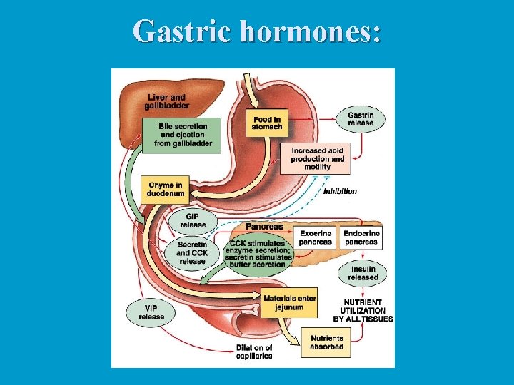 Gastric hormones: 