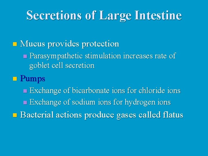 Secretions of Large Intestine n Mucus provides protection n n Parasympathetic stimulation increases rate