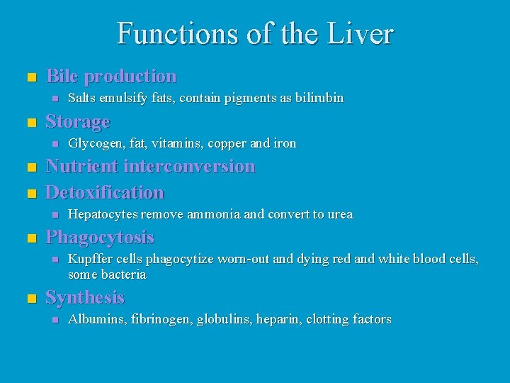 Functions of the Liver n Bile production n n Storage n n n Hepatocytes