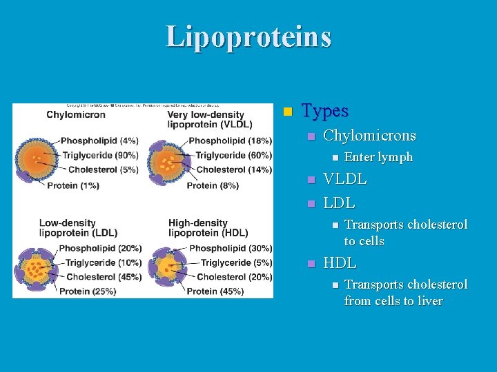 Lipoproteins n Types n Chylomicrons n n n VLDL n n Enter lymph Transports