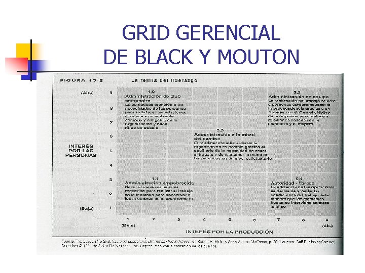 GRID GERENCIAL DE BLACK Y MOUTON 