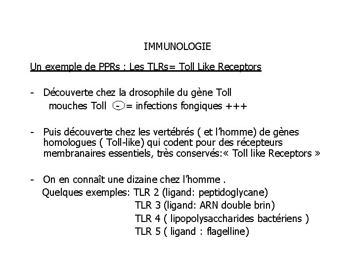 IMMUNOLOGIE Un exemple de PPRs : Les TLRs= Toll Like Receptors - Découverte chez