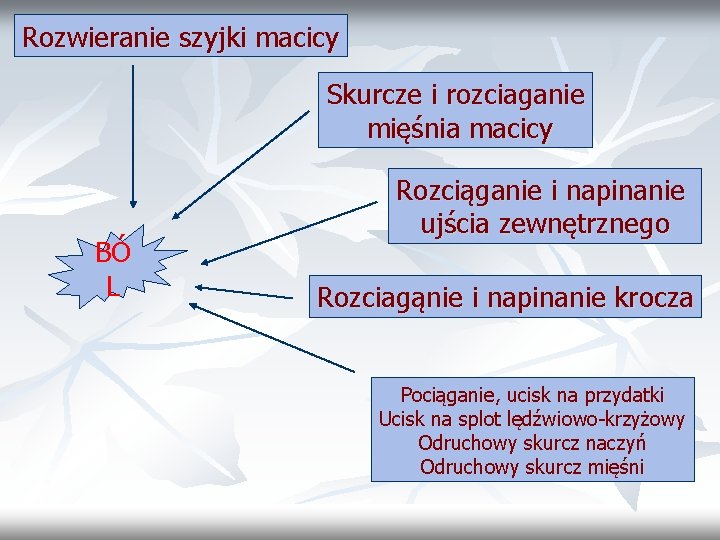 Rozwieranie szyjki macicy Skurcze i rozciaganie mięśnia macicy BÓ L Rozciąganie i napinanie ujścia