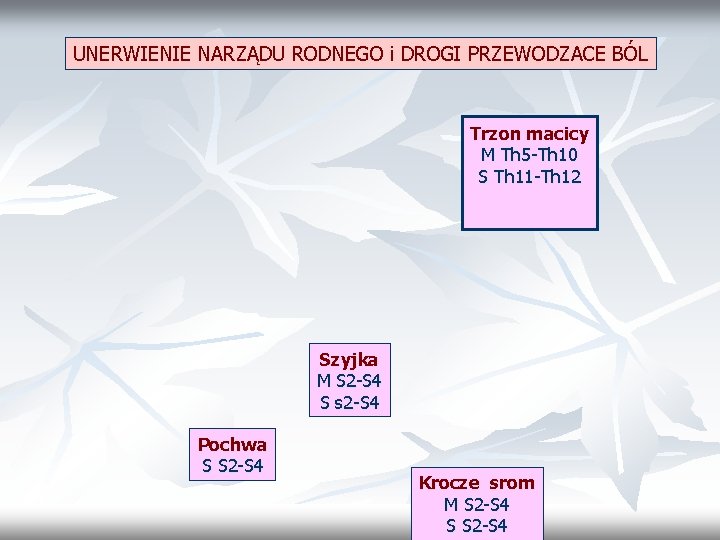 UNERWIENIE NARZĄDU RODNEGO i DROGI PRZEWODZACE BÓL Trzon macicy M Th 5 -Th 10