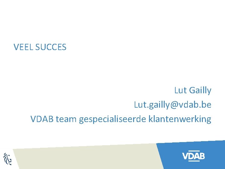 VEEL SUCCES Lut Gailly Lut. gailly@vdab. be VDAB team gespecialiseerde klantenwerking 