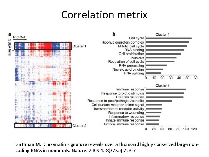 Correlation metrix Guttman M. Chromatin signature reveals over a thousand highly conserved large noncoding