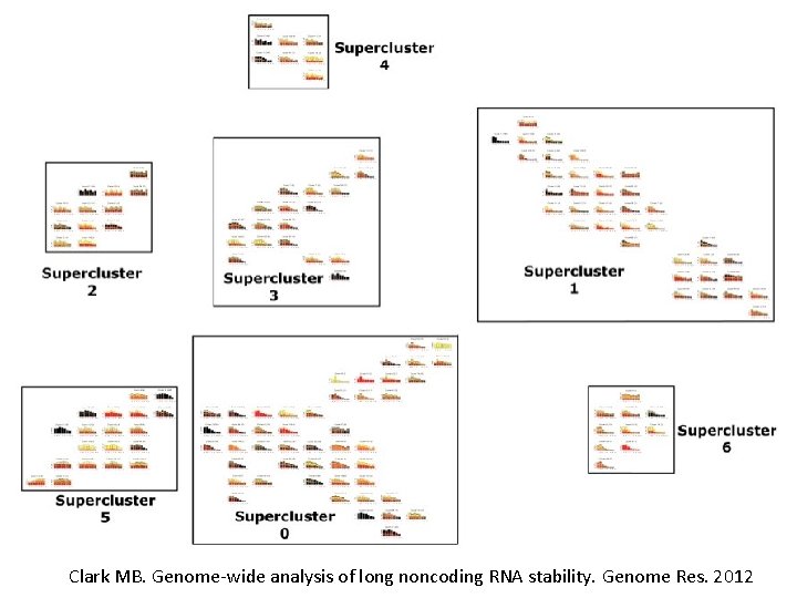 Clark MB. Genome-wide analysis of long noncoding RNA stability. Genome Res. 2012 