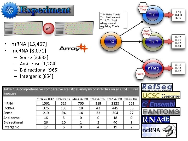  • m. RNA [15, 457] • lnc. RNA [8, 071] – – Sense