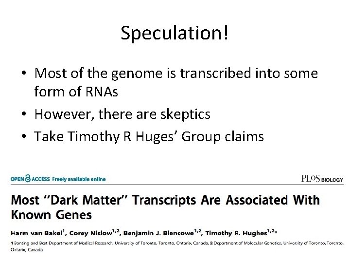 Speculation! • Most of the genome is transcribed into some form of RNAs •