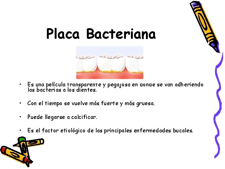 Placa Bacteriana • Es una película transparente y pegajosa en donde se van adheriendo