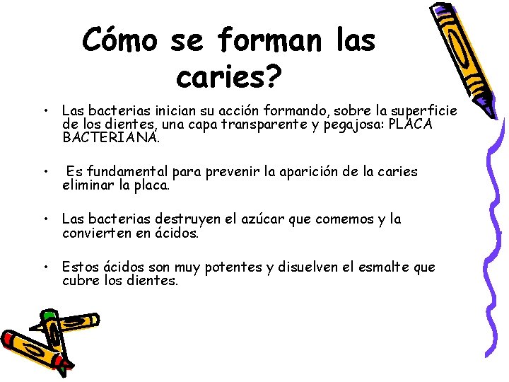 Cómo se forman las caries? • Las bacterias inician su acción formando, sobre la