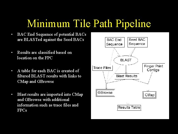 Minimum Tile Path Pipeline • BAC End Sequence of potential BACs are BLASTed against