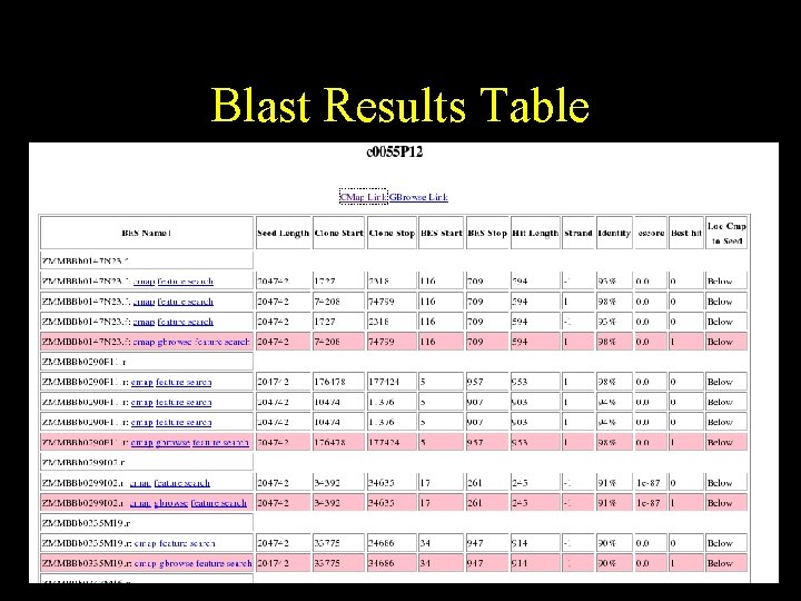 Blast Results Table 