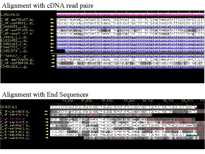 Alignment with c. DNA read pairs Alignment with End Sequences 