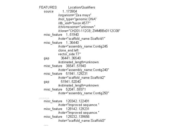 FEATURES source Location/Qualifiers 1. . 173904 /organism="Zea mays" /mol_type="genomic DNA" /db_xref="taxon: 4577" /chromosome="unknown" /clone="CH