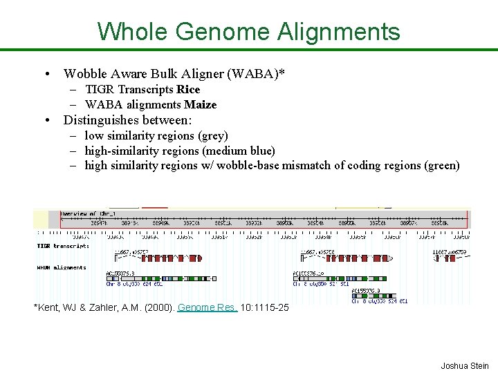 Whole Genome Alignments • Wobble Aware Bulk Aligner (WABA)* – TIGR Transcripts Rice –
