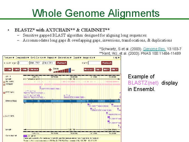 Whole Genome Alignments • BLASTZ* with AXTCHAIN** & CHAINNET** – Sensitive gapped BLAST algorithm