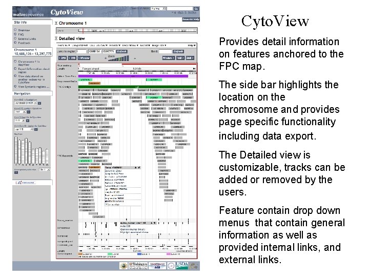Cyto. View Provides detail information on features anchored to the FPC map. The side