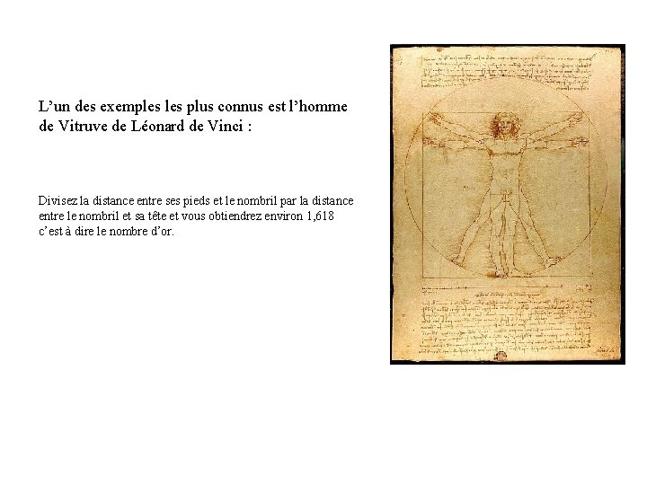 L’un des exemples plus connus est l’homme de Vitruve de Léonard de Vinci :