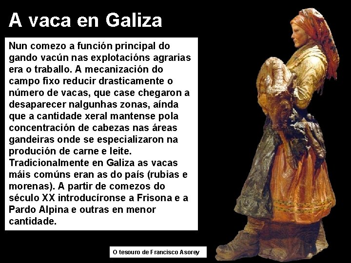 A vaca en Galiza Nun comezo a función principal do gando vacún nas explotacións
