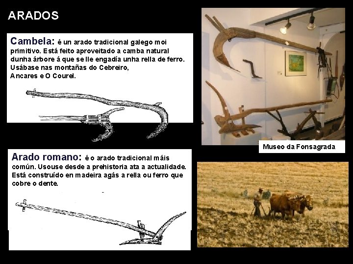 ARADOS Cambela: é un arado tradicional galego moi primitivo. Está feito aproveitado a camba