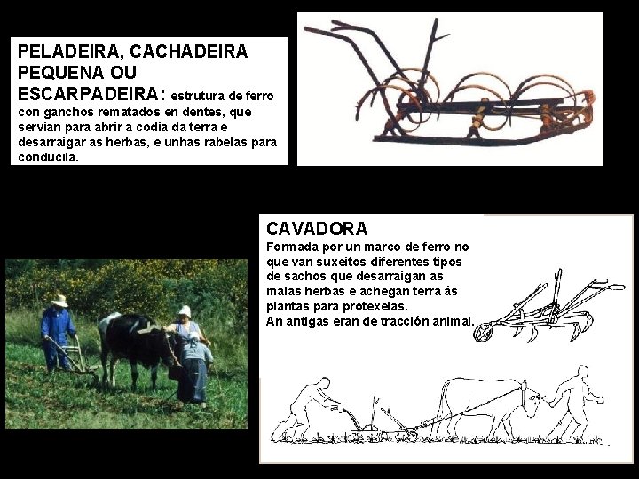 PELADEIRA, CACHADEIRA PEQUENA OU ESCARPADEIRA: estrutura de ferro con ganchos rematados en dentes, que