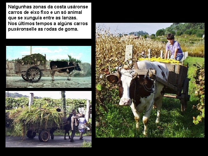 Nalgunhas zonas da costa usáronse carros de eixo fixo e un só animal que