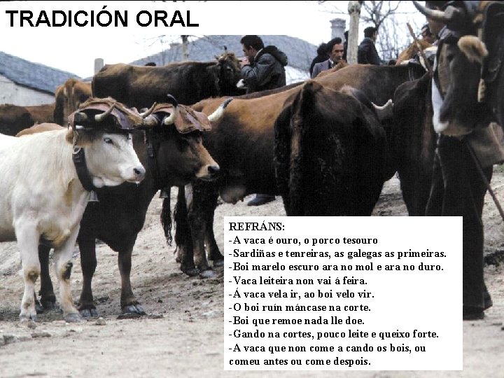 TRADICIÓN ORAL REFRÁNS: -A vaca é ouro, o porco tesouro -Sardiñas e tenreiras, as