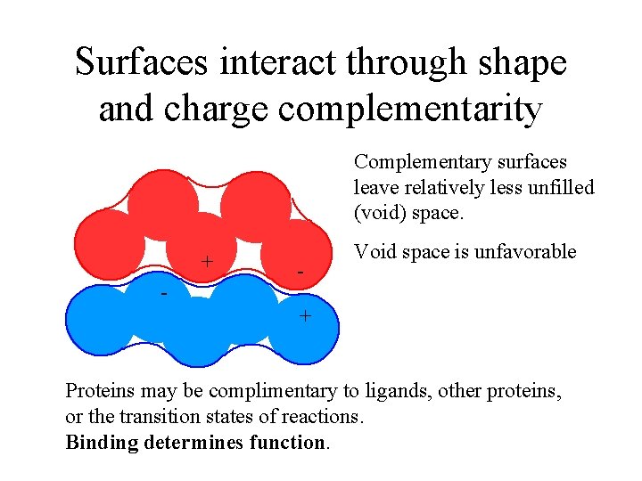 Surfaces interact through shape and charge complementarity Complementary surfaces leave relatively less unfilled (void)