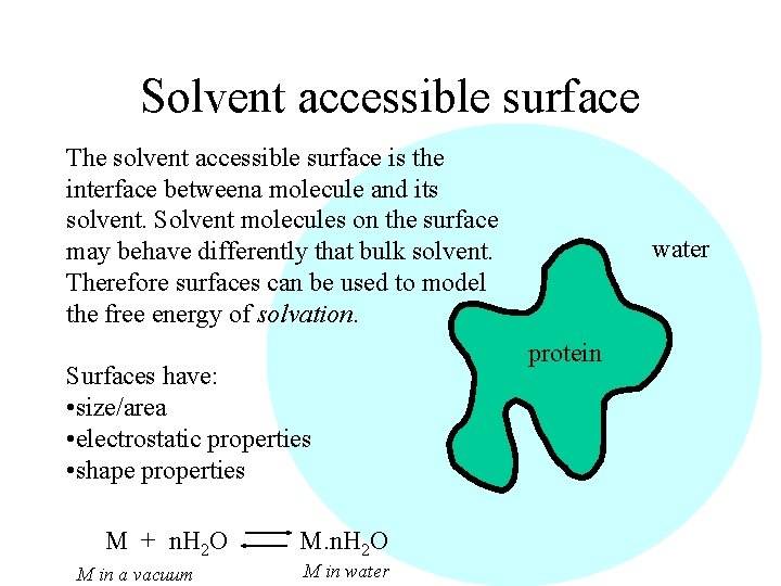 Solvent accessible surface The solvent accessible surface is the interface betweena molecule and its