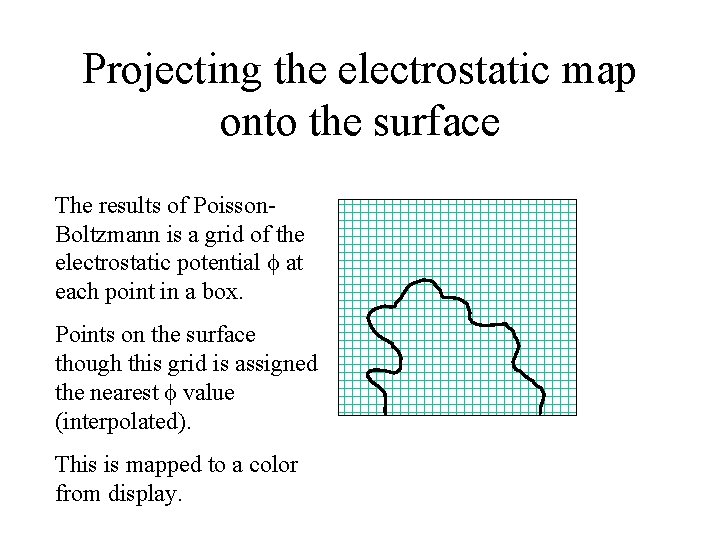 Projecting the electrostatic map onto the surface The results of Poisson. Boltzmann is a