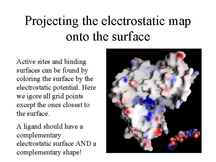 Projecting the electrostatic map onto the surface Active sites and binding surfaces can be