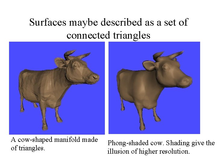 Surfaces maybe described as a set of connected triangles A cow-shaped manifold made of