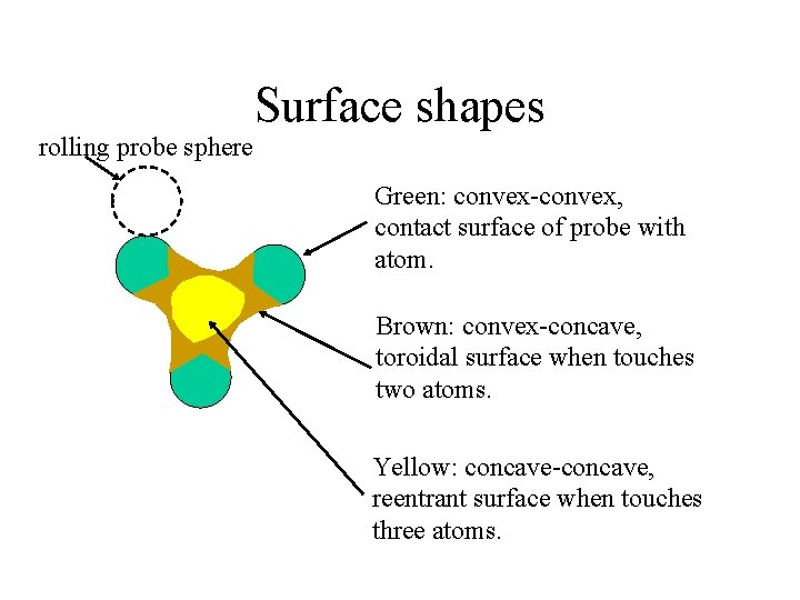 rolling probe sphere Surface shapes Green: convex-convex, contact surface of probe with atom. Brown: