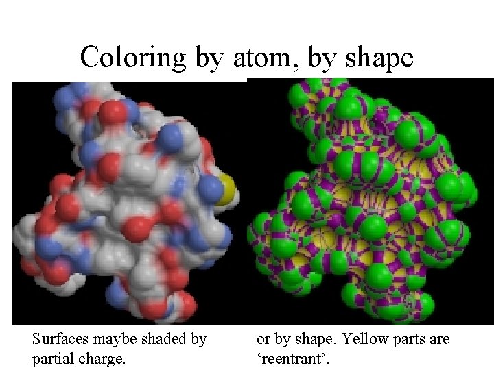 Coloring by atom, by shape Surfaces maybe shaded by partial charge. or by shape.