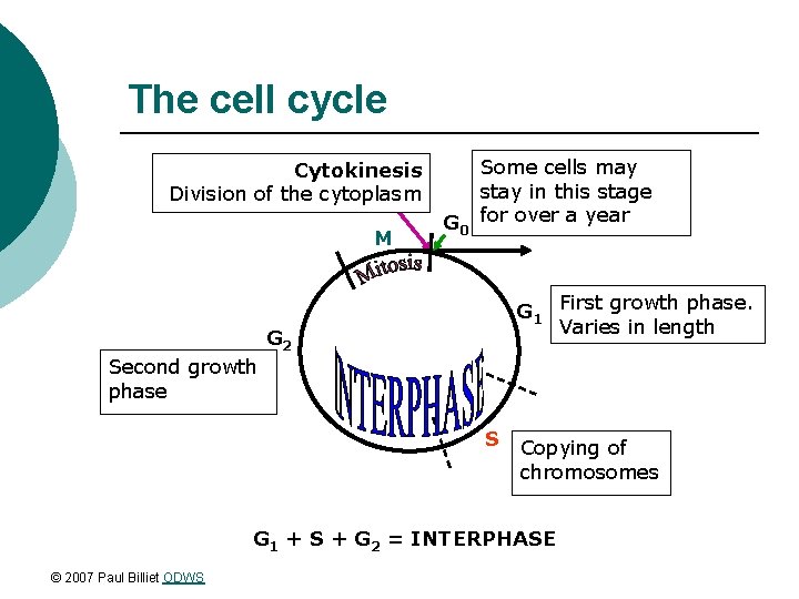 The cell cycle Cytokinesis Division of the cytoplasm M G 0 Some cells may