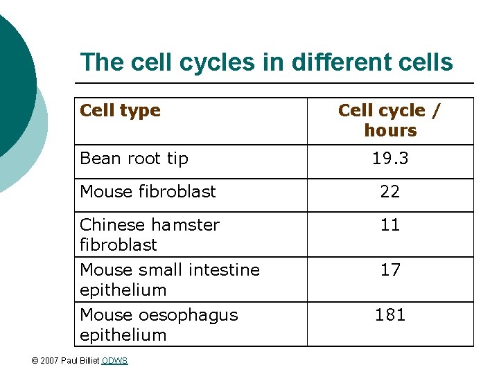 The cell cycles in different cells Cell type Bean root tip Cell cycle /