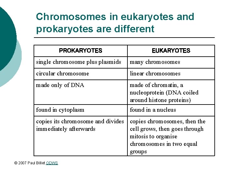 Chromosomes in eukaryotes and prokaryotes are different PROKARYOTES EUKARYOTES single chromosome plus plasmids many