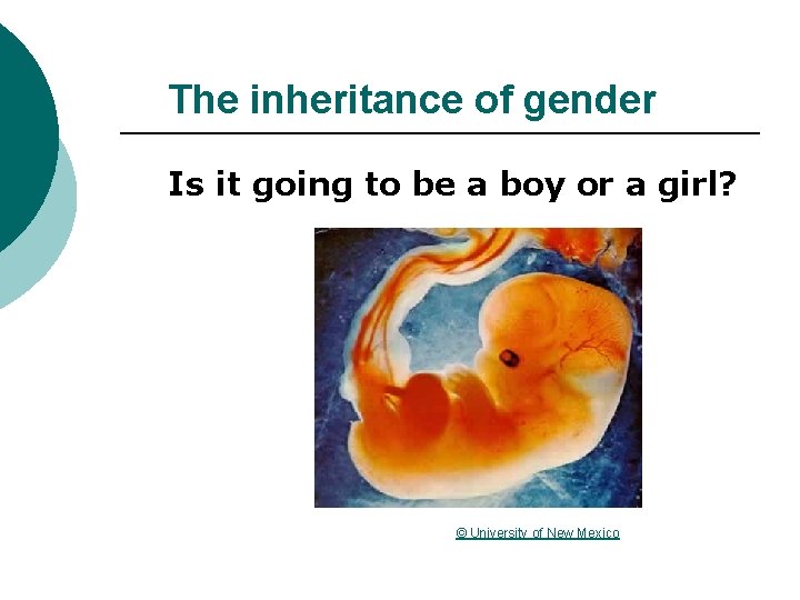 The inheritance of gender Is it going to be a boy or a girl?