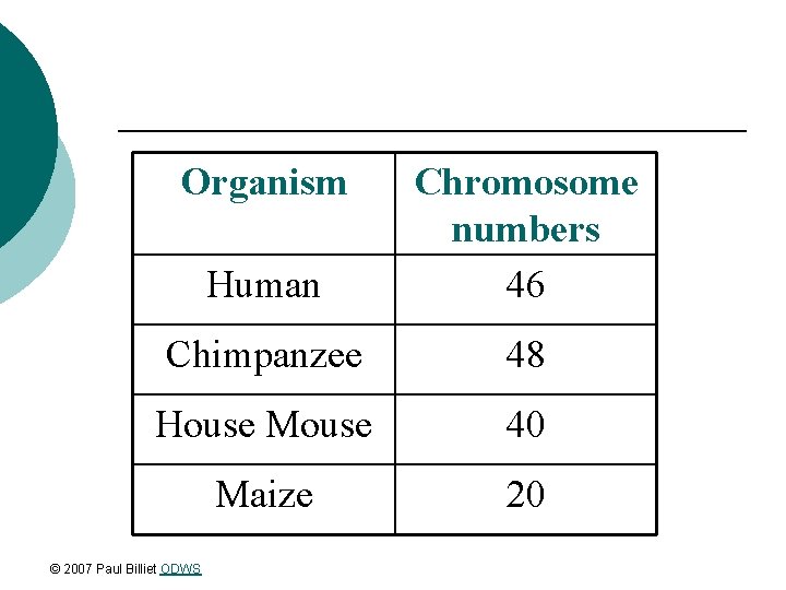 Organism Human Chromosome numbers 46 Chimpanzee 48 House Mouse 40 Maize 20 © 2007