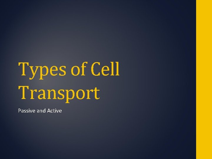 Types of Cell Transport Passive and Active 