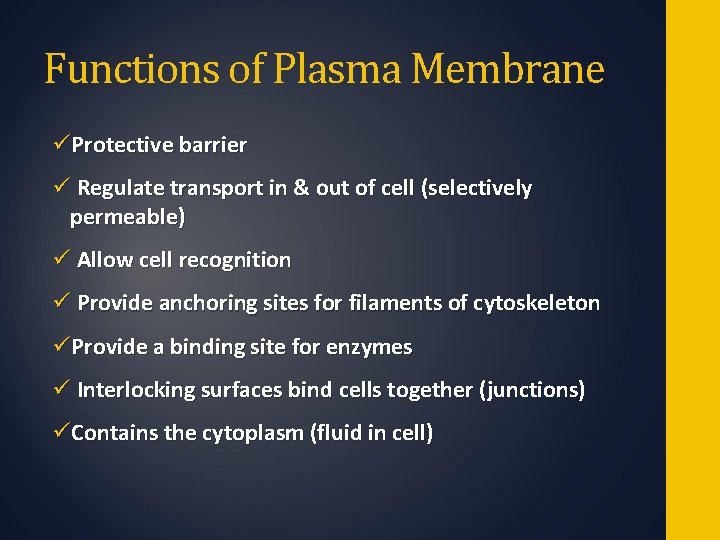 Functions of Plasma Membrane üProtective barrier ü Regulate transport in & out of cell