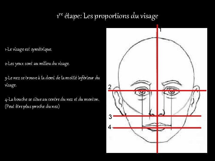 1 re étape: Les proportions du visage 1 1 -Le visage est symétrique. 2