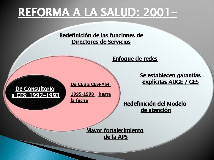 REFORMA A LA SALUD: 2001 Redefinición de las funciones de Directores de Servicios Enfoque