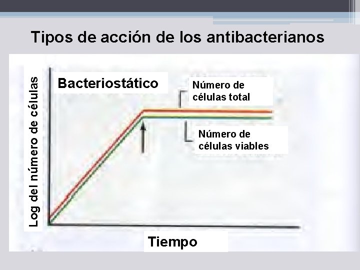 Log del número de células Tipos de acción de los antibacterianos Bacteriostático Número de