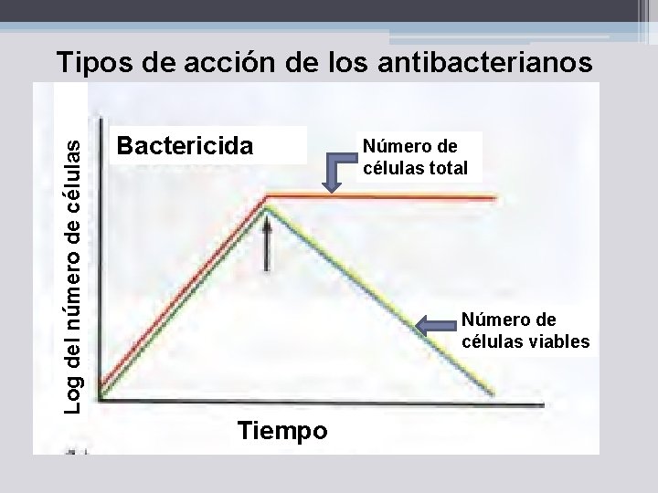 Log del número de células Tipos de acción de los antibacterianos Bactericida Número de